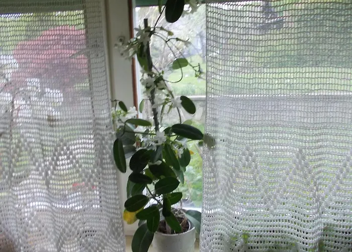 Casa de Campo Green Oasis Sladki Vrh